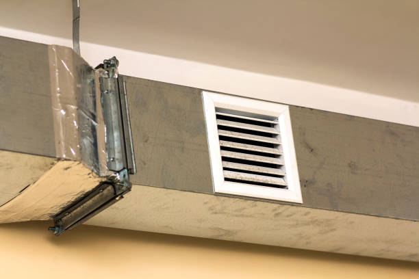 Best Air Duct Mold Removal  in Berrien Springs, MI